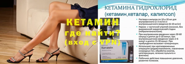 шишки Краснослободск