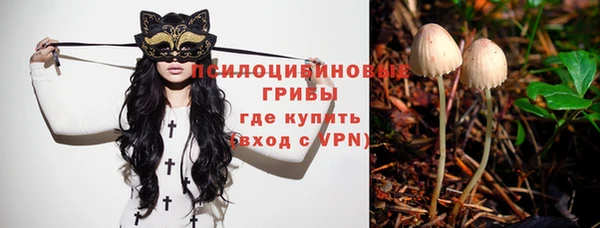 марки lsd Козельск