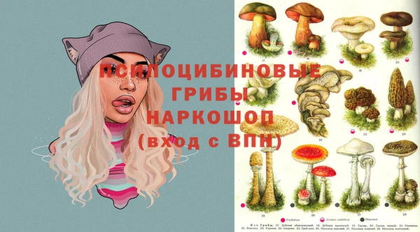 ГАЛЛЮЦИНОГЕННЫЕ ГРИБЫ Кинешма